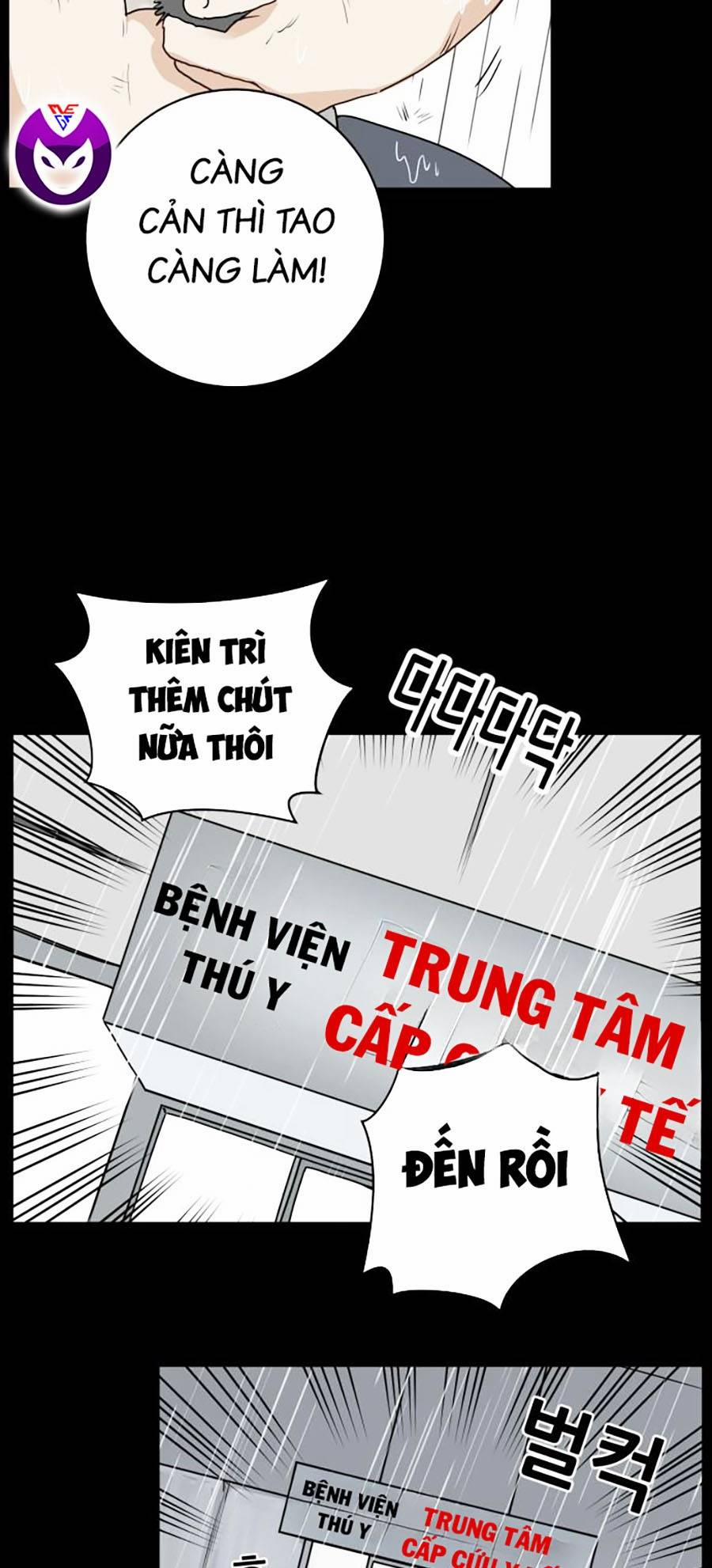 Con Mèo Đô Vật Của Tôi Chương 1 Trang 18