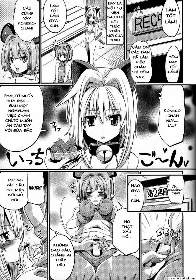 Koneko-tan and Gasper-kyun (Highschool DxD) Chương Oneshot Trang 3