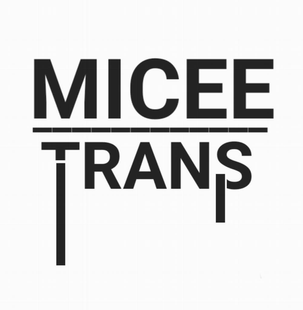 MiceeTrans Chương 6 Trang 13