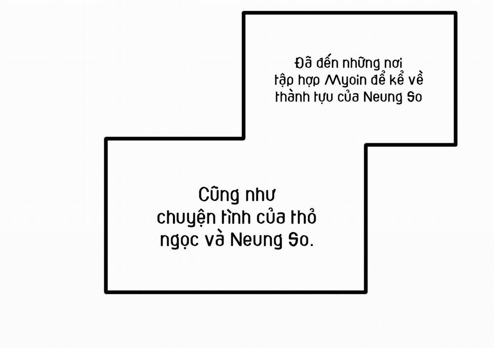 Những Chú Thỏ Của Hapypy Chương 63 Trang 134