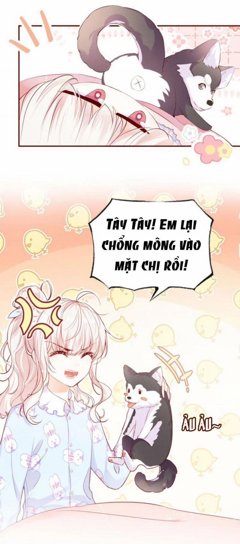 Sói Và Chim Trong Lồng Chương 1 Trang 19