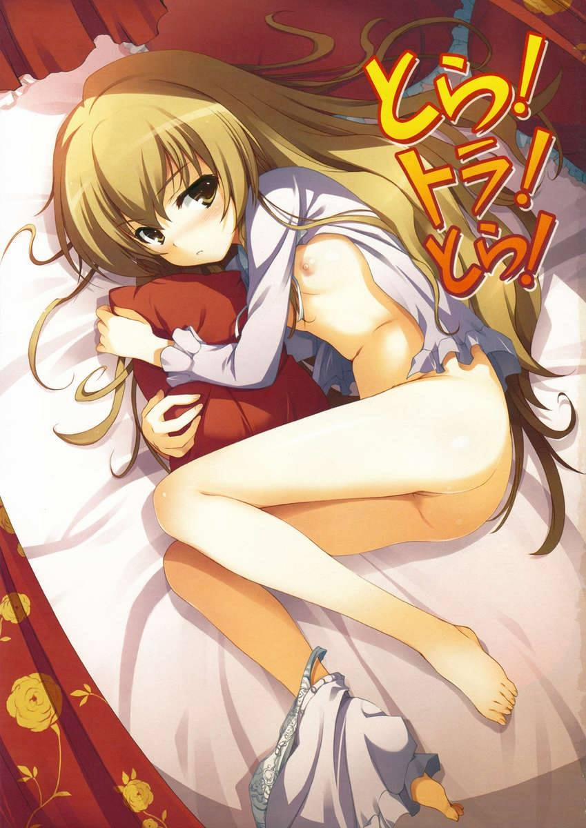 Tora! Tora! Tora! (Toradora!) Chương Oneshot Trang 2