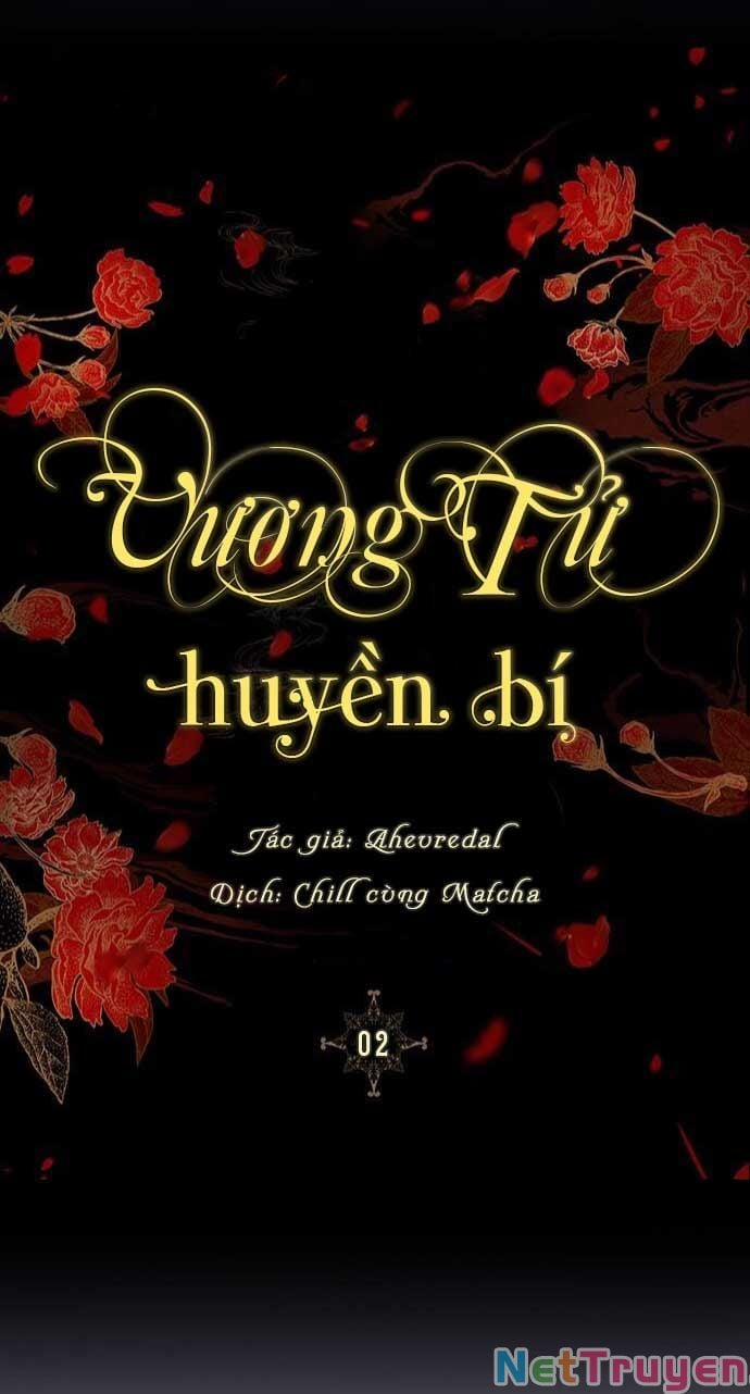 Vương Tử Huyền Bí Chương 2 Trang 29